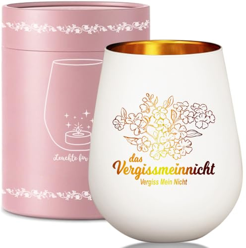 Windlicht Glas mit Geschenkbox, Vergissmeinnicht Geschenk für Mutter Ehefrau Freundin, Abschiedsgeschenk für Kollegin Jobwechsel, Danke Aufmunterung Teelichthalter mit Spruch: Vergiss Mein Nicht