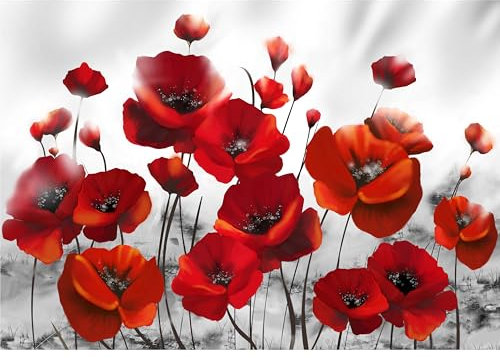 decomonkey Fototapete selbstklebend Mohnblumen 245x175 cm XL Selbstklebende Tapeten Wand Fototapeten Tapete Wandtapete klebend Klebefolie Blumem Abstrakt rot