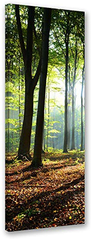 Feeby Leinwand Bilder - Natur - Wald - 40x100 cm- Deko Wohnzimmer - Wandbilder Schlafzimmer - Deko Aesthetic - Wand Deko - Leinwand Groß - Bäume - Deko Zimmer - Leinwandbilder XXL