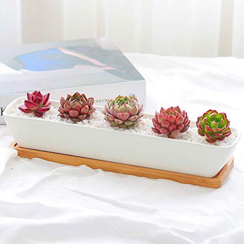 Maceta Rectangular de cerámica, Bandeja de bambú en Maceta, Maceta suculenta/Maceta de Cactus, Mini macetero suculento para Cultivar suculentas