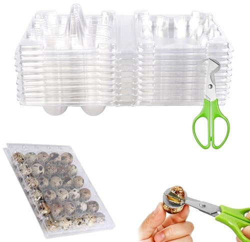 QIUMING 8pcs Wachteleierschachteln 30 Gitter Wachteln Eierschachteln Transparente Wachteleierschachteln Wachteln Eierschachteln Wachteleier Schere für Kleine Eier Wachtelfasan (30 Gitter)