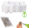 QIUMING 8pcs Wachteleierschachteln 30 Gitter Wachteln Eierschachteln Transparente Wachteleierschachteln Wachteln Eierschachteln Wachteleier Schere für Kleine Eier Wachtelfasan (30 Gitter)