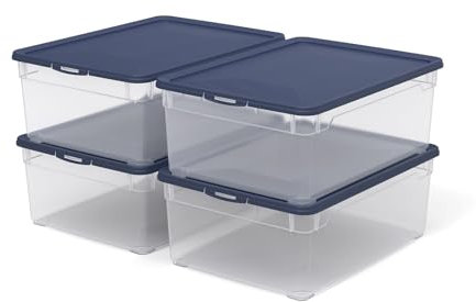Rotho Clear 4er-Set Aufbewahrungsbox 10l mit Deckel, Kunststoff (PP) BPA-frei, transparent/blau, 4 x 10l (36.0 x 26.0 x 14.0 cm)