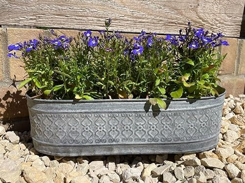 Lot de 3 pots de fleurs en zinc galvanisé