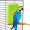 Snuggle Up Vogelwärmer – Thermo-Sitzstange, Vogelwärmer, Anti-Biss-Vogelplattformen, Heizung, sichere Vogelkäfig-Heizung, thermostatgesteuerte Vogelheizung, Vogelkäfig-Wärmequelle für Nymphensittiche,