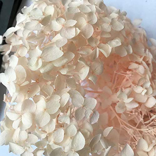 WOOAI Getrocknete Hortensien-Blütenkopf, 11 Stück, 33 g, gedämpftes Blau, gedämpftes Lila, für den Innenbereich