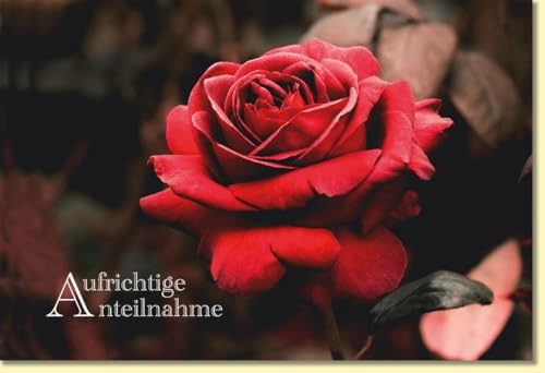 Skorpion Trauerkarte mit roter Rose und Aufschrift Aufrichtige Anteilnahme stilvolle Doppelkarte für Beileid und persönliche Kondolenz - mit Umschlag