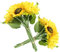 Levana.m Künstliche Sonnenblumen, 2er-Set, 12 Stück, künstliche Sonnenblumen, realistische Seiden-Sonnenblumen, Blumenstrauß mit Stielen für Hochzeitsdekoration, Babyparty, Arrangement, Tischaufsätze,