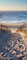 VIRANDA Türtapete Selbstklebend Türposter 3D - Schöner Weg zum Strand - Türaufkleber Türfolie Meer Sand Ostsee Landschaft 86x200cm
