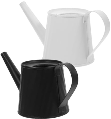 AKOOSY Gießkanne im Innen und Außenbereich Langer Auslauf aus Verzinktem Eisen 2stücke Ergonomischer Griff Pflanzenbewässerung für Sukkulenten und Zimmerpflanzen