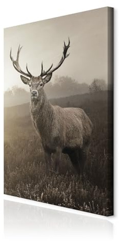 decomonkey Wandbilder Hirsch 40x60 cm 1 Teilig Leinwandbilder Kunstdruck | Strukturleinwand, Holzkeilrahmen, Bild auf Leinwand, Wanddeko, Wohnzimmer, Wanddekoration, Tiere, Natur
