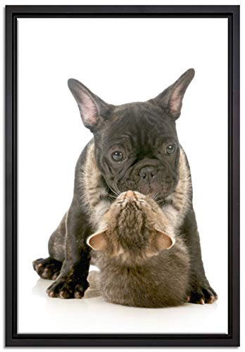 Pixxprint Katze und Mobs Freunde fürs Leben Leinwandbild 60x40 cm im Bilderahmen, Wandbild, Schattenfugenrahmen, Kein Poster