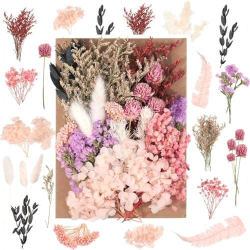ANLIOTO Mini Trockenblumen Klein Rosa, Trockenblumen zum Basteln Getrocknete Blumen Dried Flowers für Hochzeit, Deko