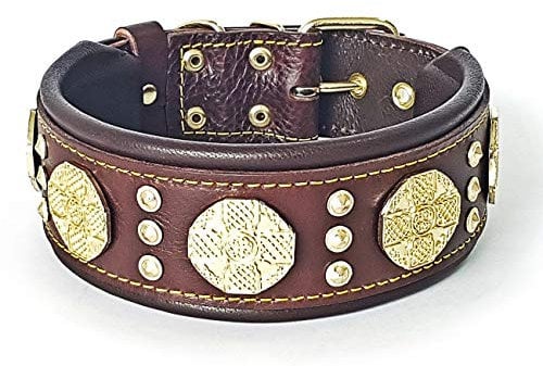 Bestia Maximus Hundehalsband, Echtleder, für große Rassen, Cane Corso, Rottweiler, Boxer, Bullmastiff, Dogo, hochwertiges Hundehalsband