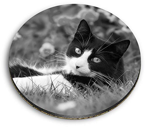 1 x Round MDF Magnet - Black & White Cat Kitten Cats Garden 42242
