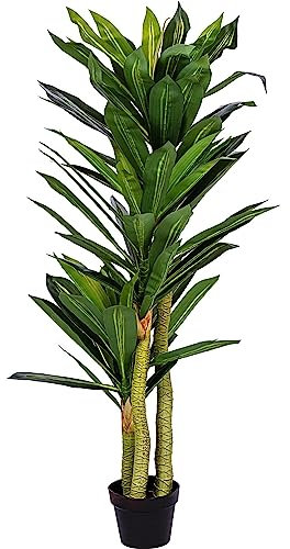 PLANTASIA Kunstpflanze Drachenbaum 120 cm