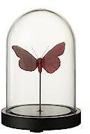 J-Line Cloche Papillons Verre Rouge/Burgundy Small