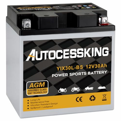 Autocessking YTX30L-BS Motorcycle Battery, 12V 30AH Rechargeable Maintenance Free Sealed AGM Battery Powersport Replacement Battery for ATV and Scooter