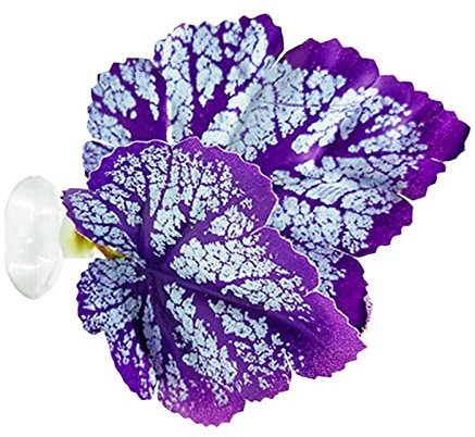 Lit pour Aquarium Betta | Plantes d'Aquarium | Améliore la Betta en simulant l'habitat Naturel, Zone Repos Naturelle, Organique et Confortable pour Aquarium Poissons avec Ventouse