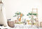 wolga-kreativ Wandtattoo Kinderzimmer - Safari Tiere Baum Giraffe Nashorn Löwe | Wandsticker für Babyzimmer | Kinderzimmer Deko | Kindergerechte und nachhaltige Wandtattoo Kinderzimmer Mädchen Jungen