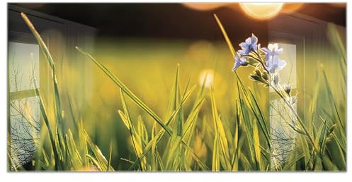 timalo Küchenbild aus Acrylglas modernes Wandbild Glasbild Deko Küche XXL Acryl-Bild wie Glas | 120x60cm Wiese Natur Blumen, grünes Gras