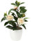 Fleurs Artificielles en Pot Faux Camélia en Pot pour Décoration de Maison Mini Plante Artificielle Intérieure Camélia Artificiel en Pot pour Bureau, Salon, Balcon, Étagère à Livres - Jaune