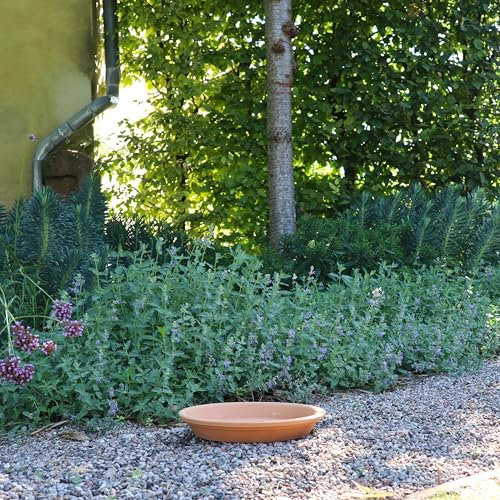 Palatina Keramik hochwertige runde Untersetzer aus Terracotta, 40 cm Durchmesser, Unterteller perfekt für Blumentöpfe und Pflanzgefäße