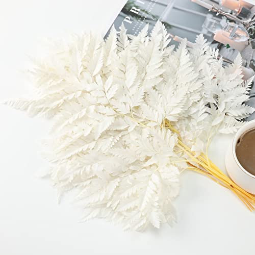 Tavkite Farn konservierte weiße Farne, 10 Stück getrockneter Boston-Farn mit Stielen, 38,1 cm echte Blätter für getrocknete Blumen, Arrangements, Hochzeitsgirlanden, Blumensträuße, Heim-Party,