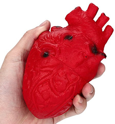 Anatomisches Herz Stressball, Realistisches Silikon-Druckspielzeug, Rot