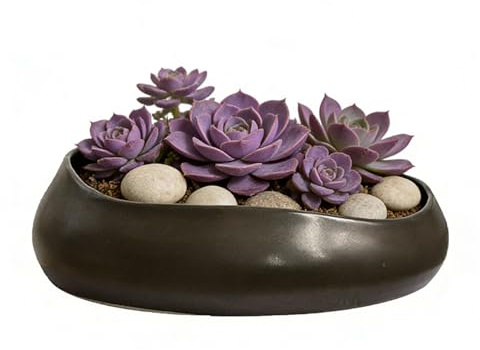 LOUIE SILNA Kaktus-Pflanzgefäß, 21 cm, Keramik-Sukkulenten-Übertopf, mit Drainagelöchern, geeignet für Innen- und Außenpflanzen, Gartendekoration und Blumenpflanzenbehälter (schwarz)