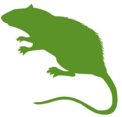 Swell Reptiles 5 Pack of 130g Frozen Rats Small to Medium Adults. Outstanding Snake Food