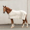 SUNRIDE Abschwitzdecke “Wellington” für Pferde aus weichem Fleece (280g/m²) - schnelltrocknend und leicht (125 cm, beige)