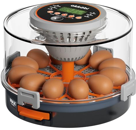 Okköbi Brutautomat vollautomatisch – Brutmaschine für 12 Eier – Temperatur & Luftfeuchtigkeit automatisch geregelt – Eierprüflampe integriert – Inkubator für Hühner-, Wachtel-, Enteneier