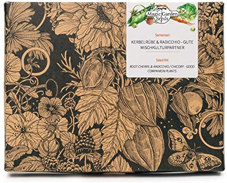 Perifollo & Radicchio/achicoria - Set de regalo de semillas con 3 plantas de asociación de cultivo