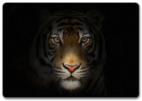 trendaffe Tiger Fußmatte randlos mit Motiv