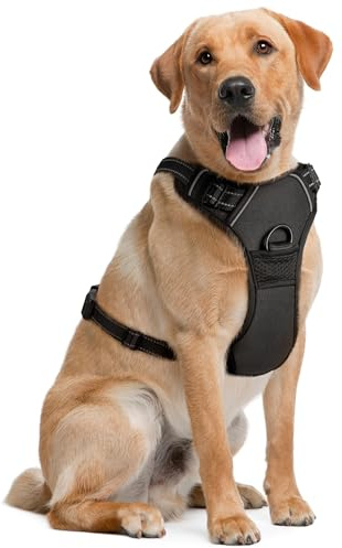 Dog Harness for Medium Dogs - Medium, Black - Soft Padded & Adjustable No Pull Design Pet Harness for Running, Hiking & Training - with 2 Leash Clips + Reflective Strips - by EcoEarth