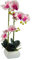 Tecnokit Piante Finte Interno, Orchidea artificiale, con vaso incluso, pianta finta, materiale plastico realistico al tatto, adatto per tutti gli ambienti (CM 40 BIANCA/FUCSIA)