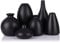 Lot de 6 Petits Vases en Céramique Noir Mat pour Décoration, Fleurs, Centres de Table, Mini Vases Bohème en Herbe de la Pampa, Moderne