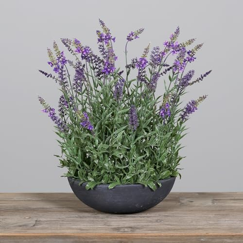 Künstlicher Lavendel in runder Dekoschale 48cm DP Lavendel-Gesteck wie echt | Großer Lavendelbusch mit 56 Blütenköpfen in Polyresin-Schale. Hochwertige Kunstpflanze für Tisch, Empfang & Wellnessbereich