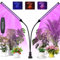 BOOTEEK Lámpara de Cultivo de Plantas, 126 LED Luces de Crecimiento Espectro Completo Luz para Cultivo de Plantas Interior con Temporizador 3/9/12H, 10 Niveles de Atenuación, 3 Modos de Iluminación