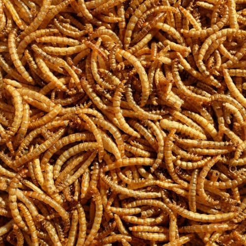 Pet Ting Premium Dried Mealworms, 7.5 Litre