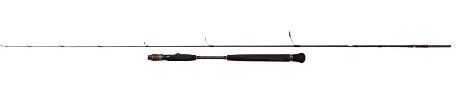 Penn Conflict Light Jigging Ruten