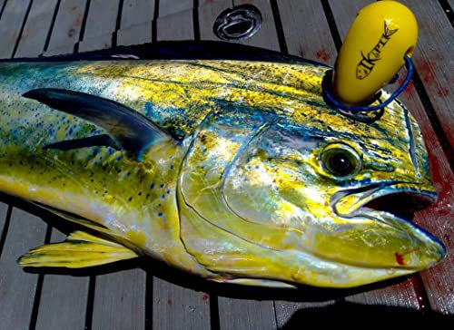 IKIPIK Ikejime fish Spike Stainless Steel Spike with Protective BPA-Free Cover. Iki Jime Spike Plastic Grip & Bottle Opener. Kill Fish Humanely.