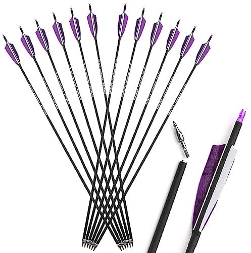 ZSHJGJR Pfeile für Traditionelle Bogenschießen 30 Zoll Bogenpfeile Carbon Pfeile Jagdpfeile Spine 500 Pfeile mit 4'' Befiederung für Recurvebogen Traditionellen Bogen Pfeile Pfeilspitzen (Lila.)