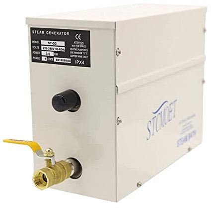 Sauna Machine générateur de vapeur maison hammam Machine four à flux humide équipement de Sauna Commercial contrôleur numérique Robuste et pratique