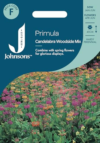 Johnsons Primula Candelabra Woodside Mixed, Flower Seeds