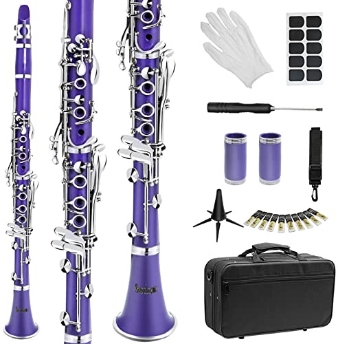 Soulmate Klarinette Bb Flat 17 Nickel-Tasten Lila Klarinette für Schüler Anfänger mit 2 Fässern, Hartschalenkoffer und Reinigungsset