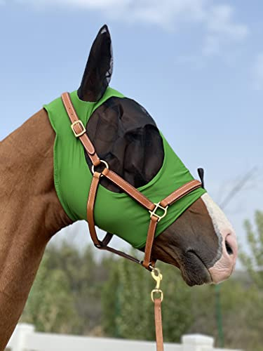 TGW RIDING Fliegenmaske für Pferde, super Komfort, Fliegenmaske für Pferde, Elastizität mit Ohren (M, Hunter Green)