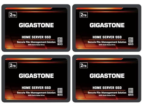 Gigastone Serveur SSD 2To (Lot de 4) NAS SSD Cache 24h/24, 7j/7 TLC Haute Endurance Business Secure Personal Cloud Créatif Professionnel Réseau Attaché Stockage Raid 2,5 SATA Disque Dur Interne SSD