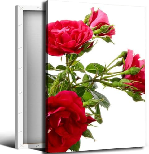 Rambler rose Bathroom Canvas Wall Art Decor Framed Photo Prints Picture for Bedroom Living Room Office Kitchen Posters Painting Artwork 16x20